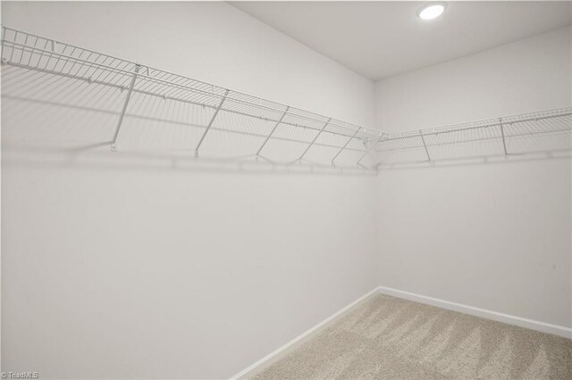 5365 Roshni Ter, Mcleansville, NC 27301 - spacious closet with carpet