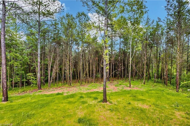 307 Lick Creek Church Rd, Denton, NC 27239 - view of yard with a view of trees