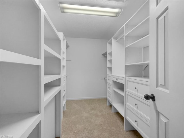 spacious closet featuring light carpet