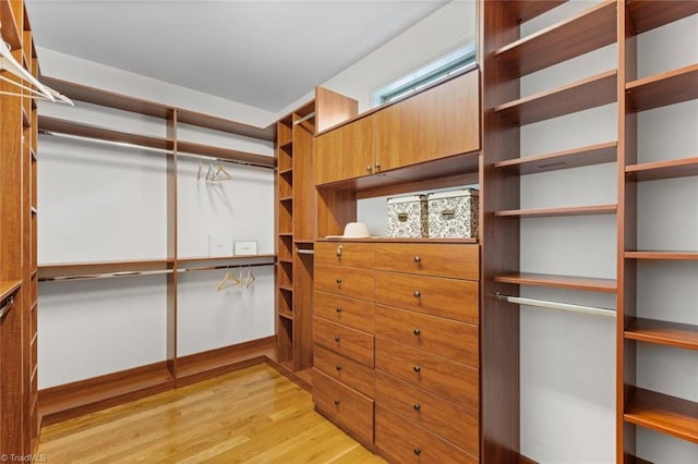 142 Covington Pl, Lewisville, NC 27023 - spacious closet with light wood-style floors