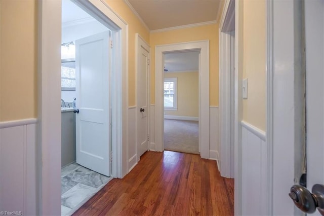 hall featuring ornamental molding and dark wood-type flooring