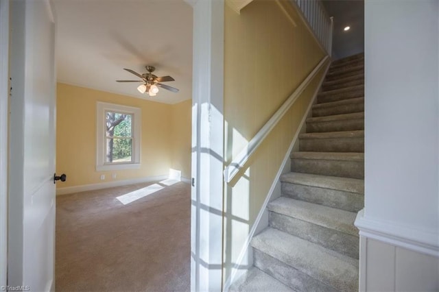 stairway featuring carpet flooring and ceiling fan