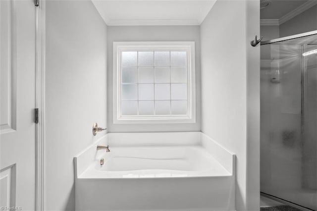 111 Brooke Ridge Dr, Thomasville, NC 27360 - bathroom with a stall shower, a bath, and crown molding