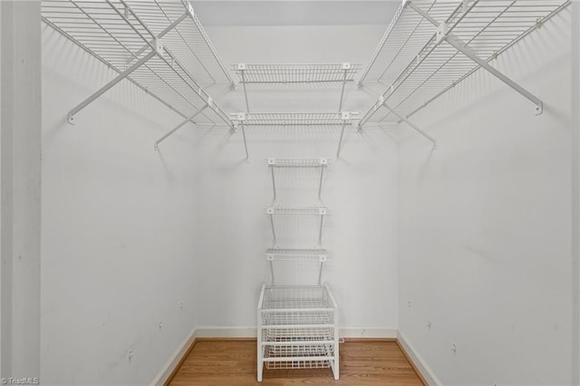 spacious closet featuring wood-type flooring