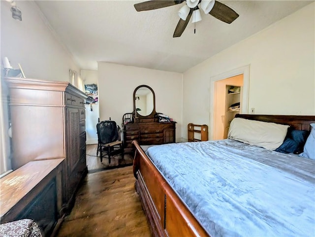 bedroom with ceiling fan, dark hardwood / wood-style flooring, and a spacious closet