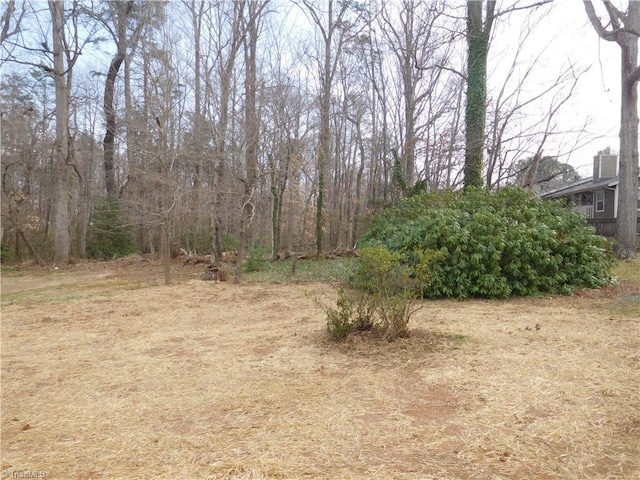 4391 Old Town Dr, Winston-Salem, NC 27106 - view of local wilderness
