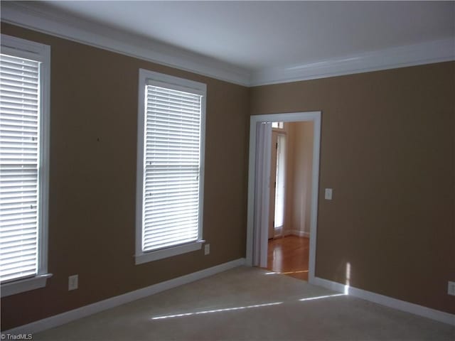 empty room featuring carpet flooring and ornamental molding