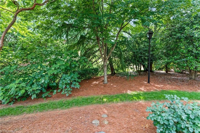 440 Marshall View Ct, Winston-Salem, NC 27101 - view of yard
