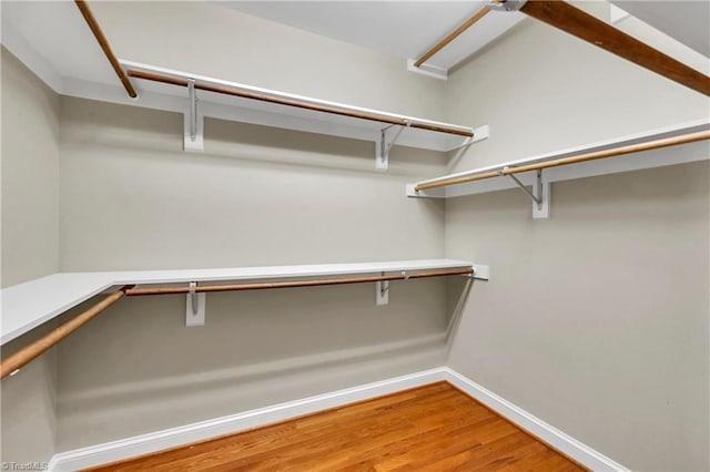 walk in closet with light wood finished floors