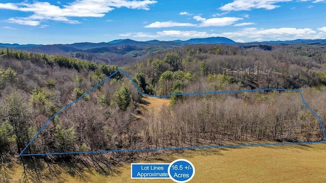 TBD Topia Rd, Piney Creek NC, 28663 land for sale