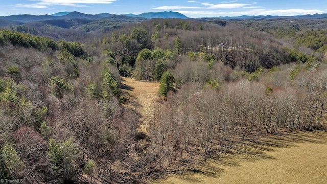 Listing photo 3 for TBD Topia Rd, Piney Creek NC 28663