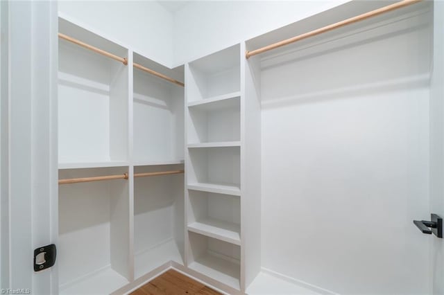 walk in closet with hardwood / wood-style flooring