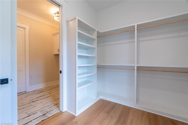 walk in closet featuring light hardwood / wood-style flooring