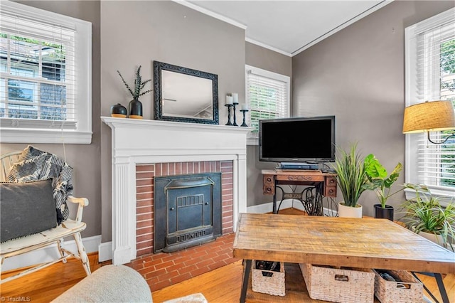 living room featuring crown molding, healthy amount of natural light, baseboards, and a fireplace