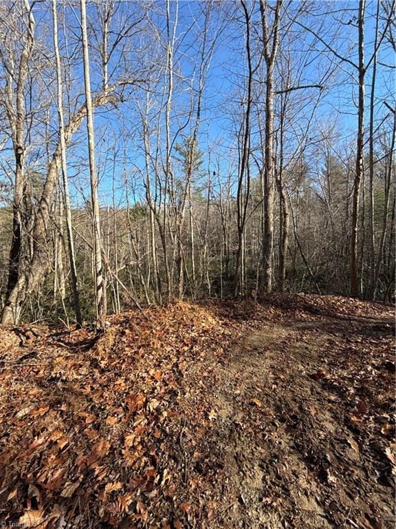 0 Cherry Grove Rd, Moravian Falls NC, 28654 land for sale