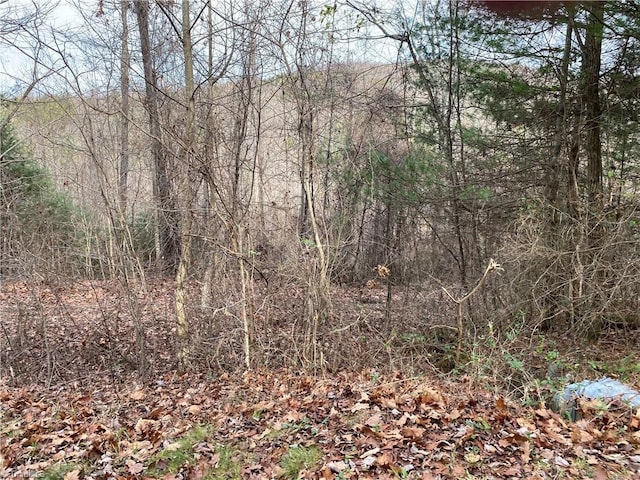 Listing photo 2 for 0 Cherry Grove Rd, Moravian Falls NC 28654