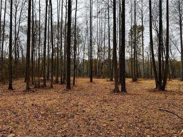 LOT156 Lookout Dam Rd, Statesville, NC 28625