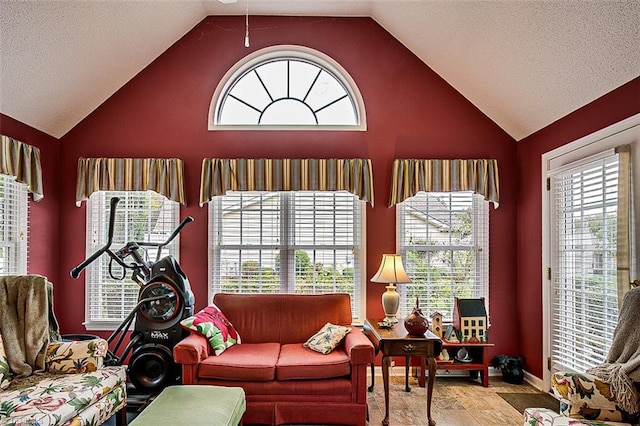 living room with hardwood / wood-style flooring and lofted ceiling