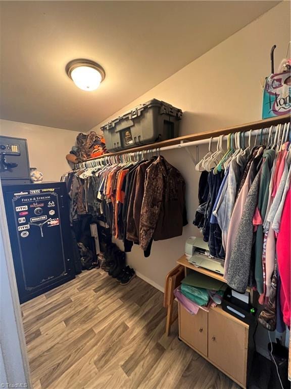 spacious closet with hardwood / wood-style floors