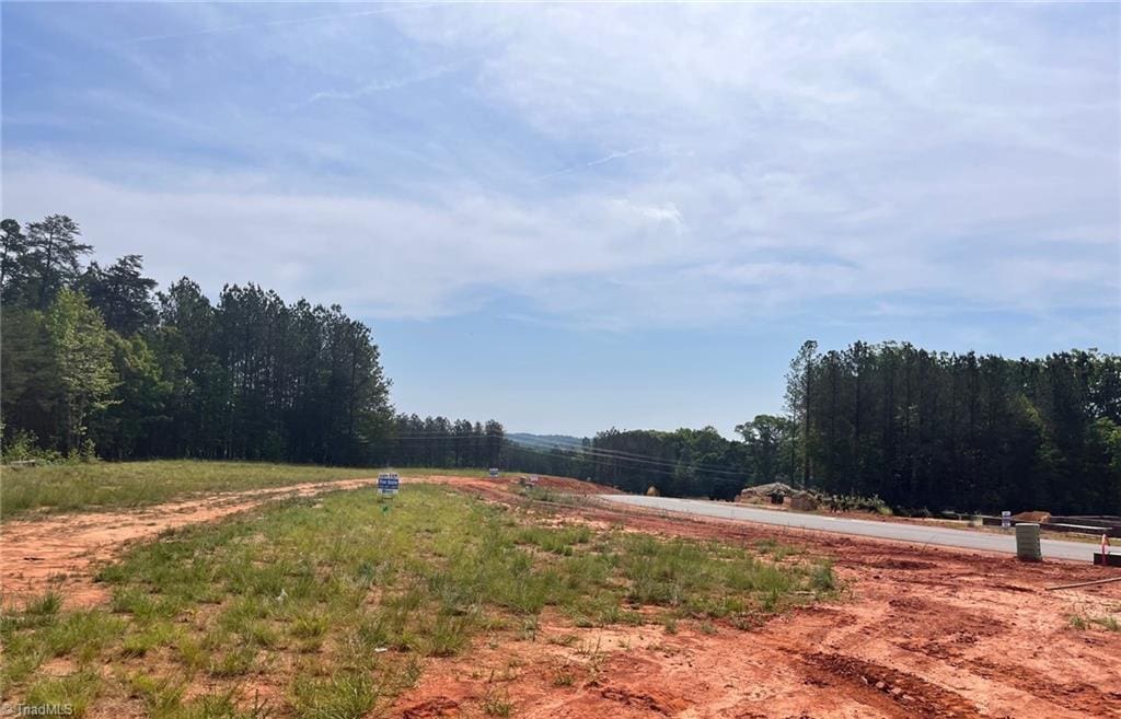 173 Carlton Rd, Stokesdale, NC 27357 - view of yard with a view of trees and a rural view