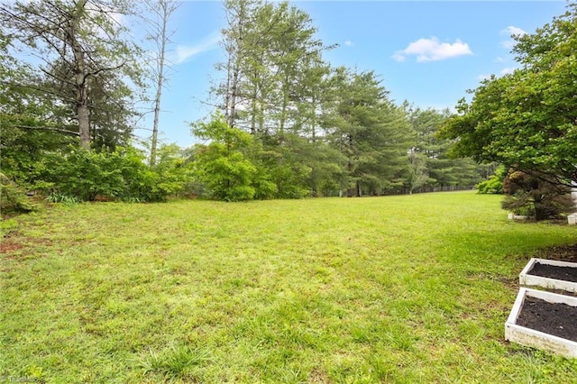 7060 Orchard Path Dr, Clemmons, NC 27012 - view of green lawn