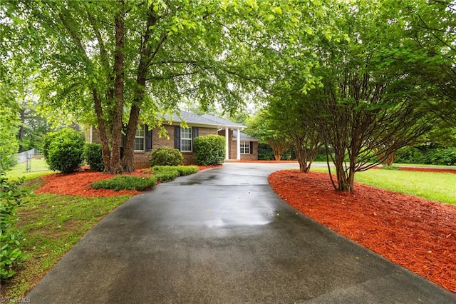 7060 Orchard Path Dr, Clemmons, NC 27012 - view of front of property with asphalt driveway, brick siding, and a front lawn