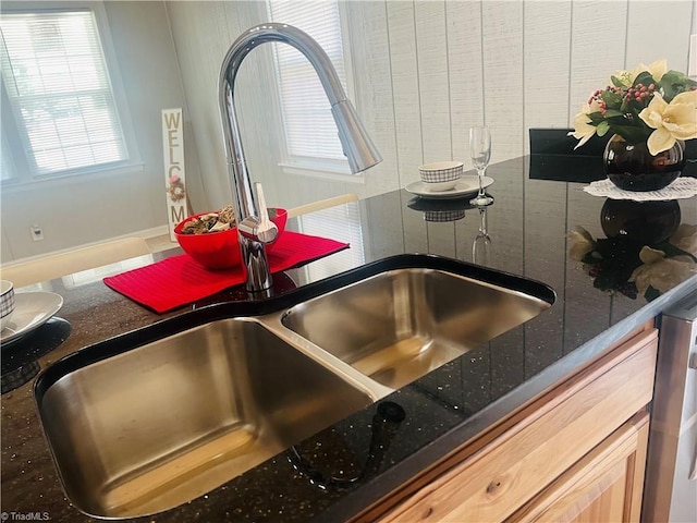 room details featuring a sink