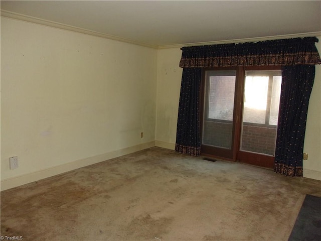 spare room with crown molding and carpet floors