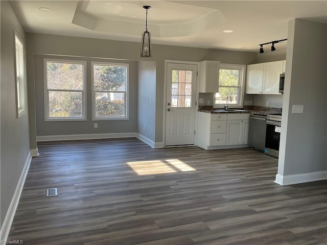 kitchen with a tray ceiling, white cabinetry, a healthy amount of sunlight, and hanging light fixtures