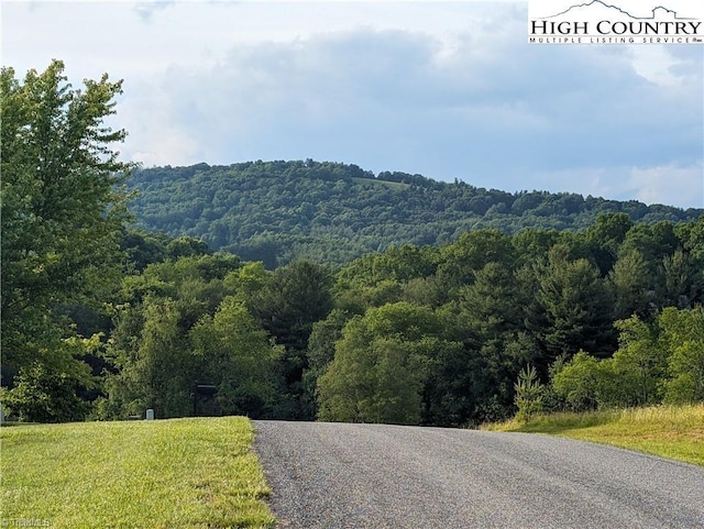 LOT23 Dockery Ln, Sparta, NC 28675