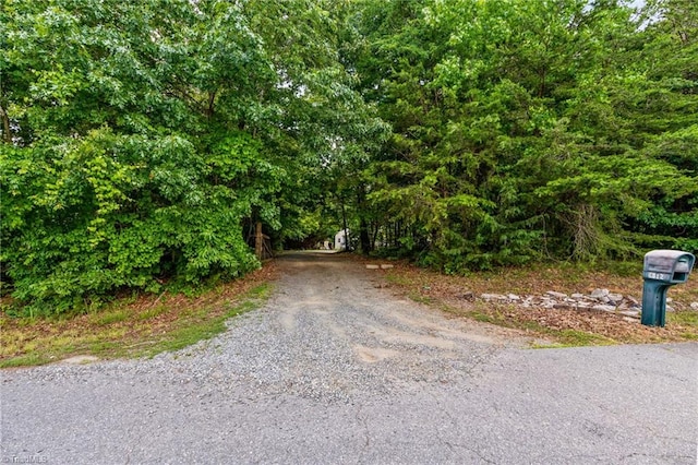 4812 Country Meadows Dr, Julian, NC 27283 - view of dirt / gravel road