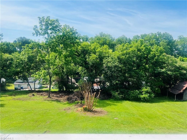 322 E Independence Blvd, Mount Airy, NC 27030 - view of grassy yard