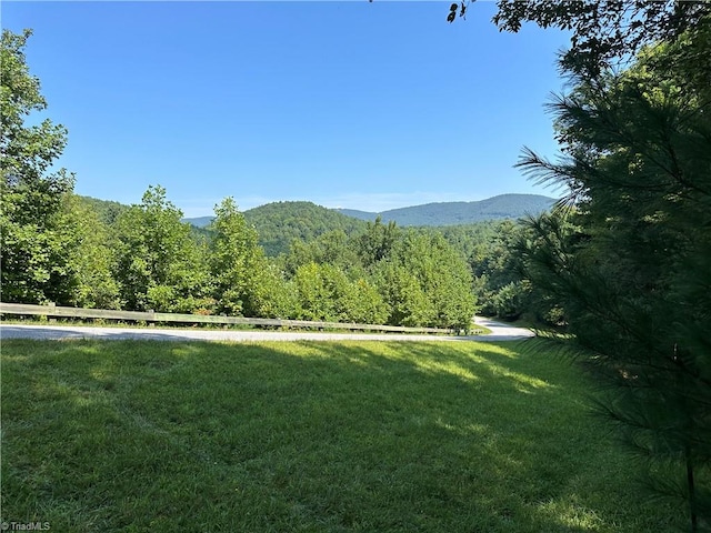 Listing photo 2 for LOT18E Cielo Ridge Way, Purlear NC 28665