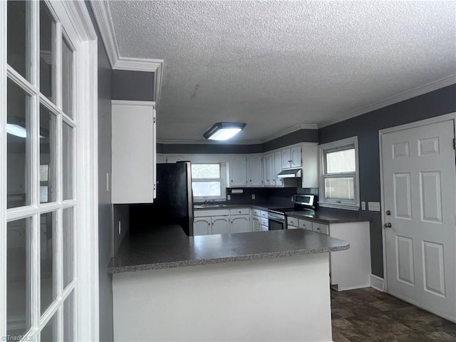 5608 Fred Lineberry Rd, Randleman, NC 27317 - kitchen featuring electric range, under cabinet range hood, a textured ceiling, a peninsula, and a sink