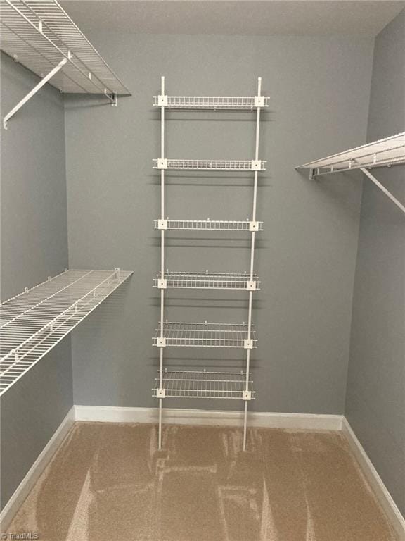 3908 Sandlewood Rd, High Point, NC 27265 - walk in closet with carpet