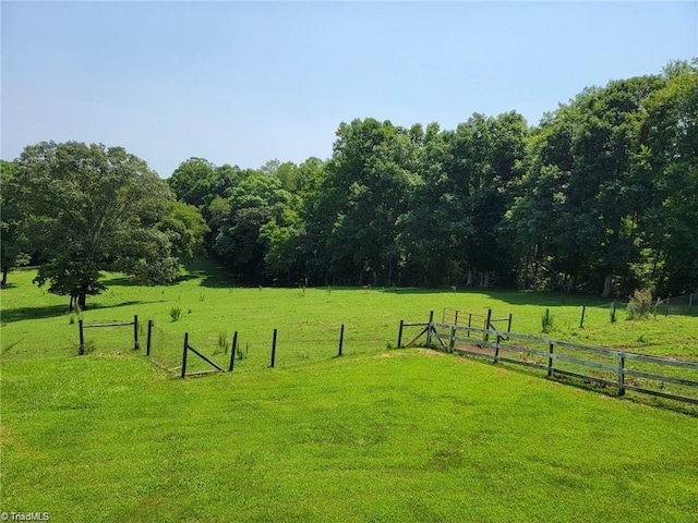 view of yard with a rural view