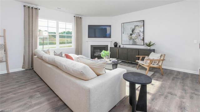 living room with wood-type flooring