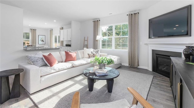 living room with hardwood / wood-style floors