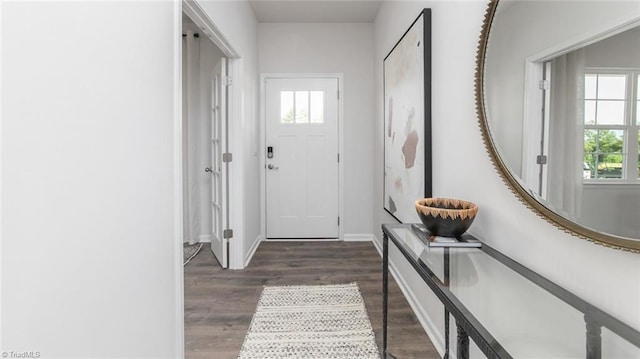 doorway with dark wood-type flooring and a wealth of natural light