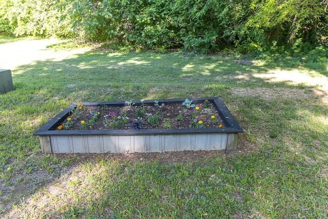 view of yard featuring a vegetable garden