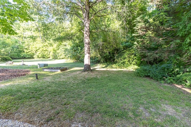 view of yard with a forest view