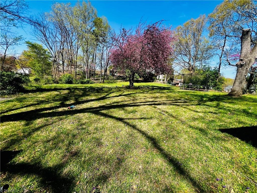6223 Blue Bonnet Ln, Winston-Salem, NC 27103 - view of grassy yard featuring a trampoline