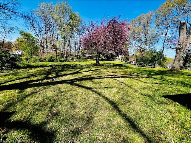 6223 Blue Bonnet Ln, Winston-Salem, NC 27103 - view of grassy yard featuring a trampoline