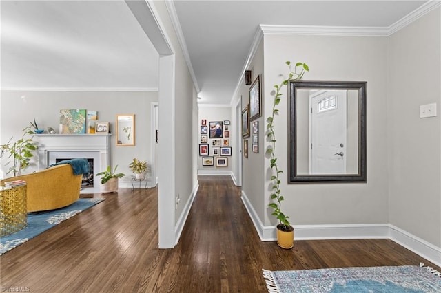 entrance foyer featuring ornamental molding, a fireplace, baseboards, and wood finished floors