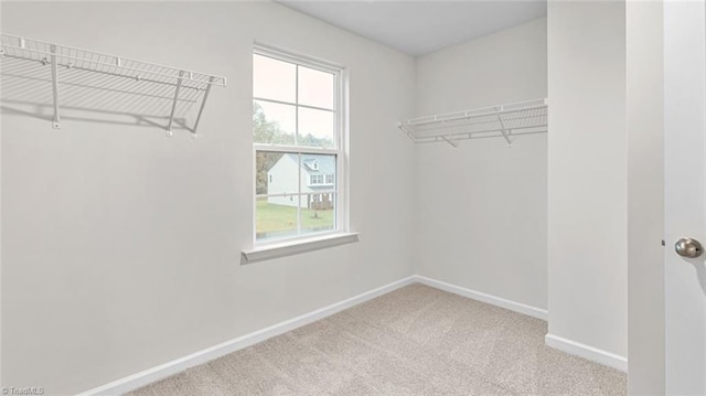 spacious closet with carpet