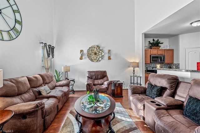 living room featuring light hardwood / wood-style floors