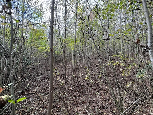 Listing photo 3 for LOT41 Rc Rd, Traphill NC 28685