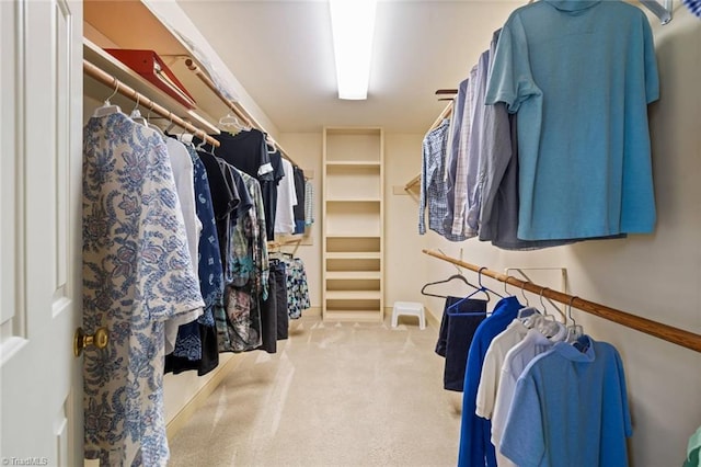 spacious closet with carpet floors