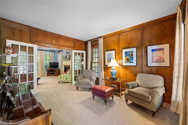 living area with carpet floors and wood walls