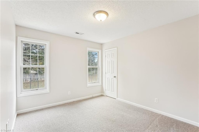 spare room with carpet floors, a textured ceiling, and plenty of natural light